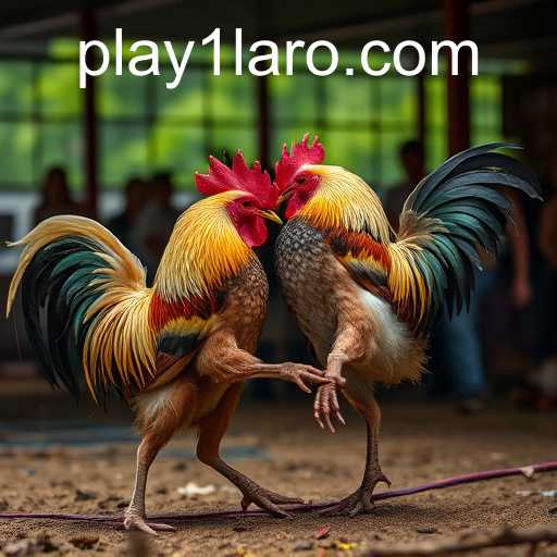 Exploring the World of Online Sabong: A Deep Dive into PLAY1